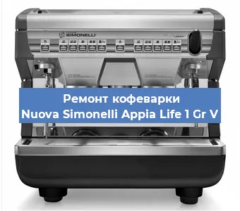 Чистка кофемашины Nuova Simonelli Appia Life 1 Gr V от накипи в Красноярске